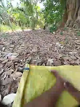 sudhastriper – webcam-show