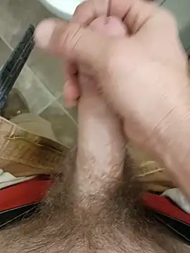 StellerCock's Webcam Show