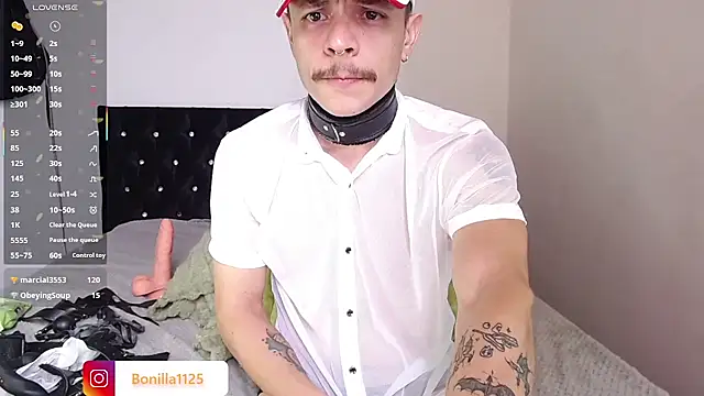 Show de webcam de PaleVibes