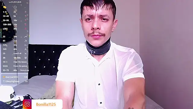 Pokazy przed kamerką – PaleVibes