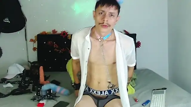 عرض كام PaleVibes
