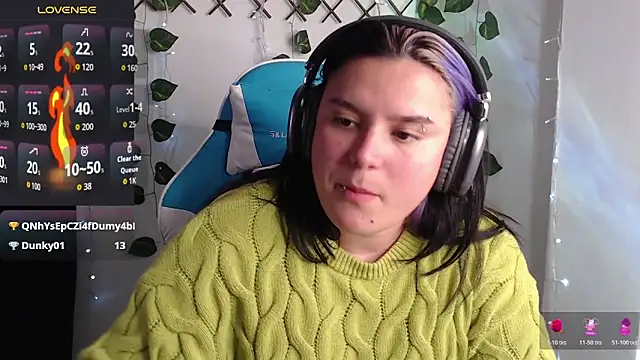 Nika_1_n Webbikameraesitys