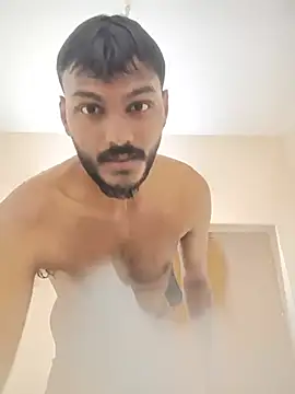 HasslingSnowballn Webbikameraesitys