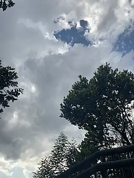 Show de webcam de ElNegroRony