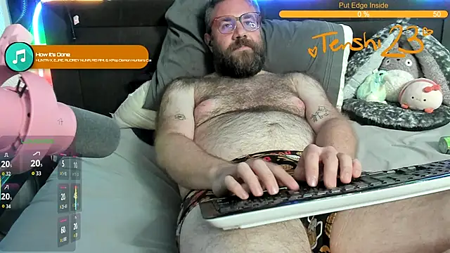 Show webcam de tenshi23strip