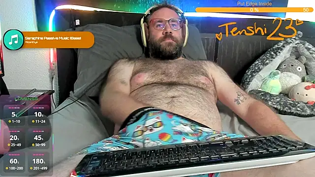 Show webcam de tenshi23strip