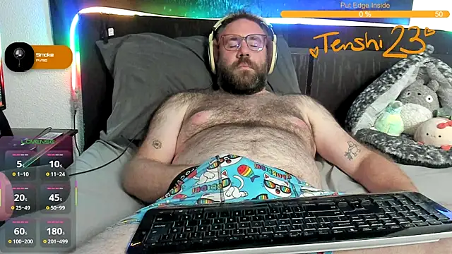 Show webcam de tenshi23strip