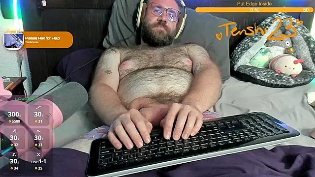 Show webcam de tenshi23strip