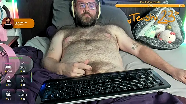 Show webcam de tenshi23strip