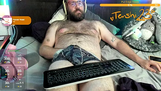 Show webcam de tenshi23strip