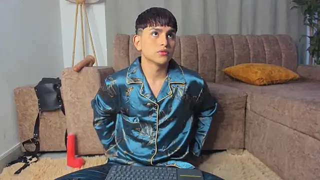 Show modela Lyam_ap na web-kameri