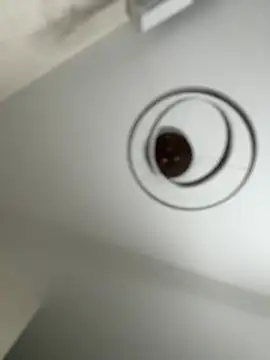 mc-Barbaraa Cameră chat live