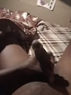 Lexwelll Show Webcam