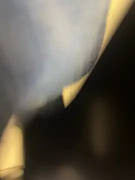 Pertunjukan Kamera Web Majorcumlive