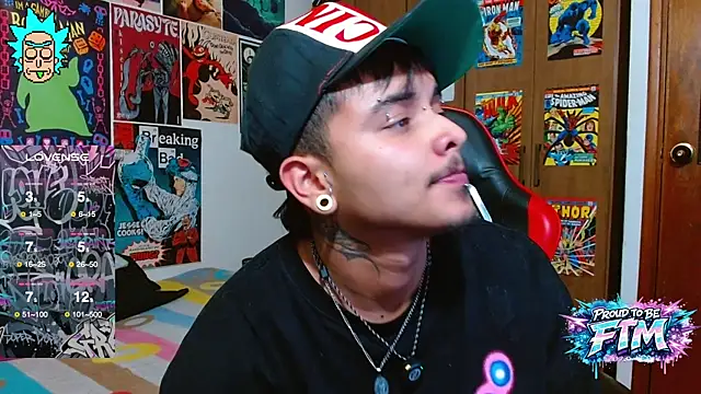 Hgp3riodictabl3 Show in webcam