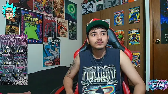 Show webcam de Hgp3riodictabl3