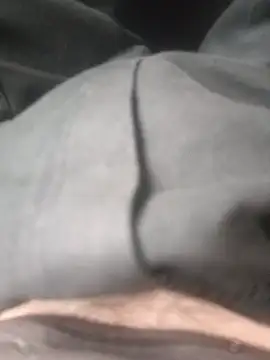 LawlessMoneybag Webcam Show
