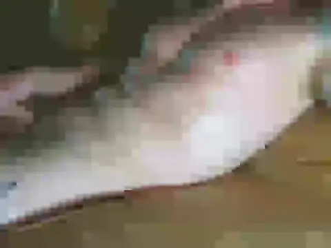 Jackcough123 Cameră chat live