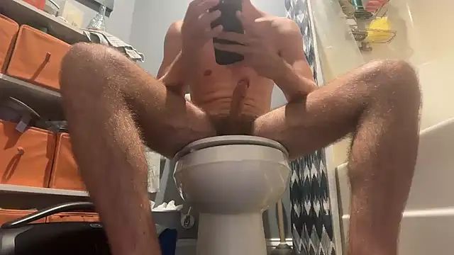 Show de webcam de dylanwolf01