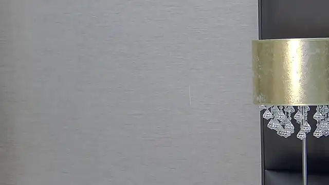 FoxyJoy Live Chatraum