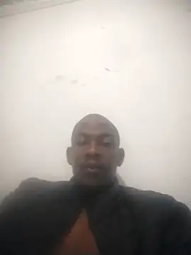 عرض كام zuludog