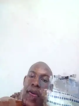 zuludog webcam show