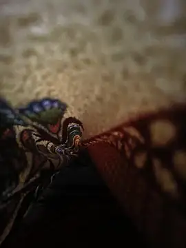 Noida_se_he Adlı Modelin Web Kamerası Şovu
