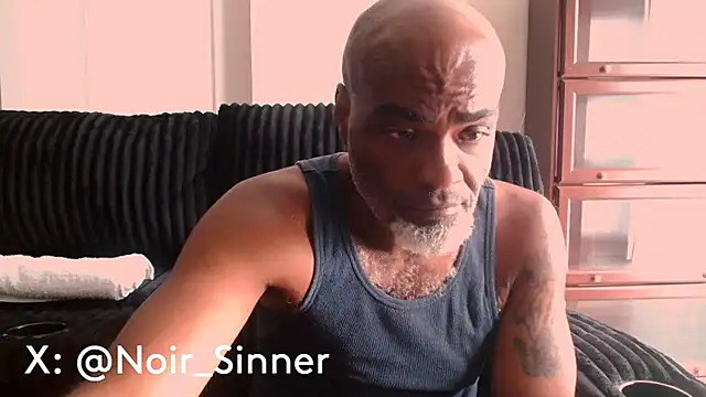הופעת וובקאם של sinnernoir