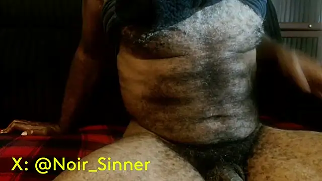 הופעת וובקאם של sinnernoir