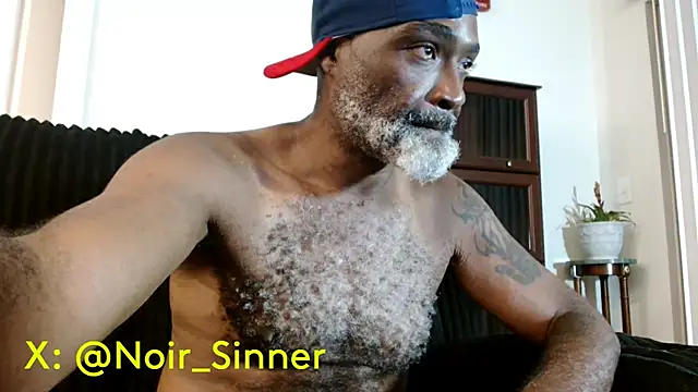 הופעת וובקאם של sinnernoir