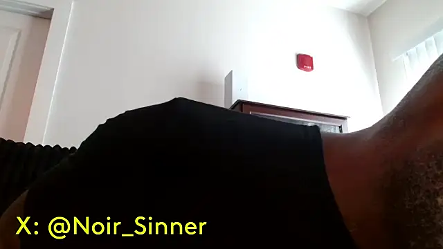 Pertunjukan Kamera Web sinnernoir
