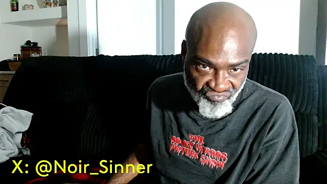הופעת וובקאם של sinnernoir