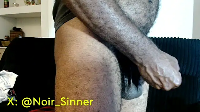 Pertunjukan Kamera Web sinnernoir