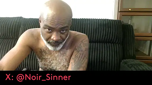 הופעת וובקאם של sinnernoir