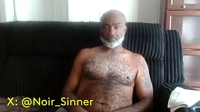 הופעת וובקאם של sinnernoir