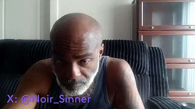 הופעת וובקאם של sinnernoir
