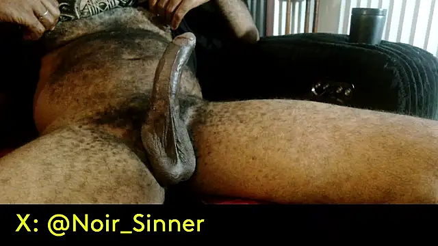 Pertunjukan Kamera Web sinnernoir
