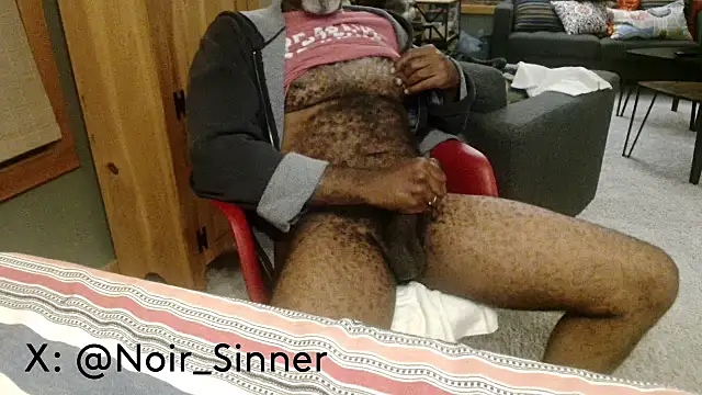 הופעת וובקאם של sinnernoir