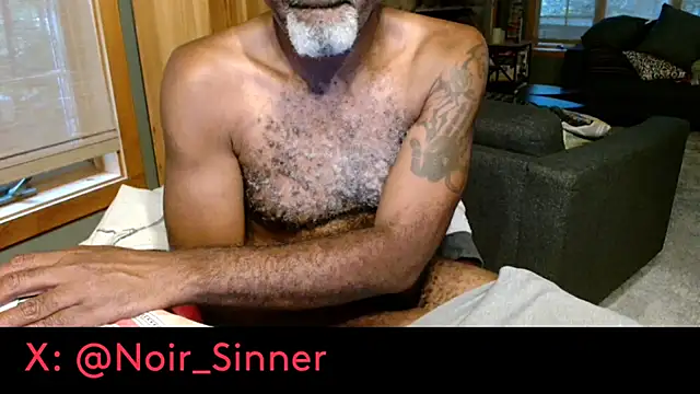 הופעת וובקאם של sinnernoir