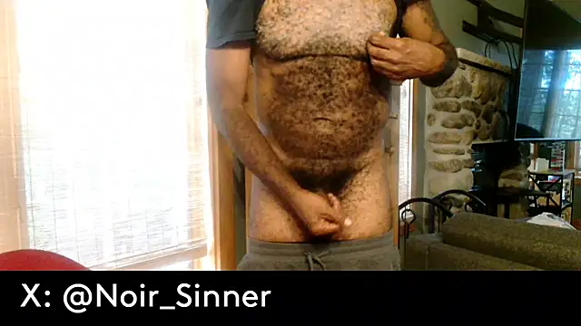 sinnernoirn Webbikameraesitys