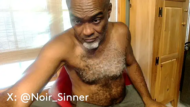הופעת וובקאם של sinnernoir