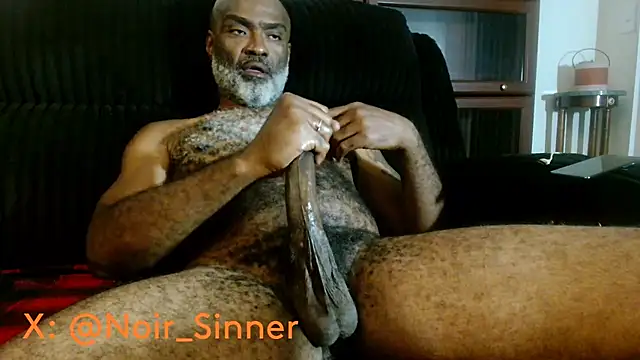 הופעת וובקאם של sinnernoir