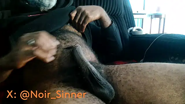 הופעת וובקאם של sinnernoir