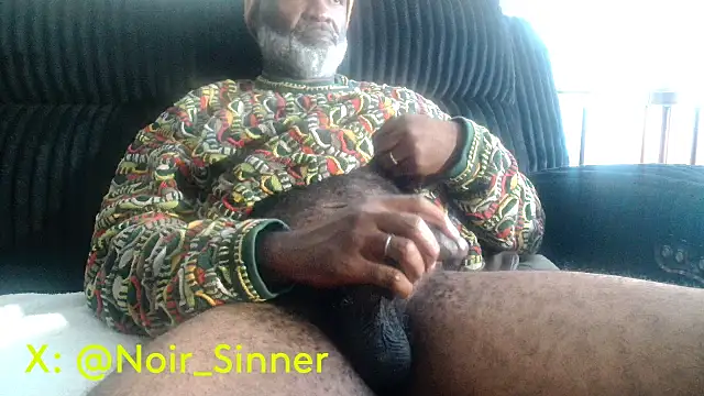 הופעת וובקאם של sinnernoir