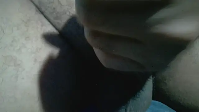 Show de StereoSock na webcam