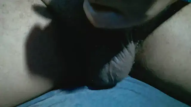 Show de webcam de StereoSock