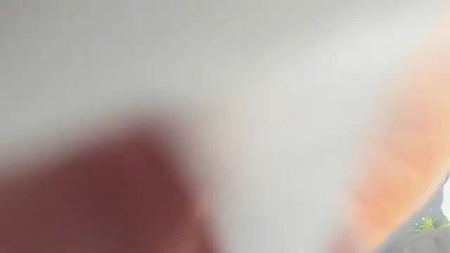 Robin_Riefn Webbikameraesitys
