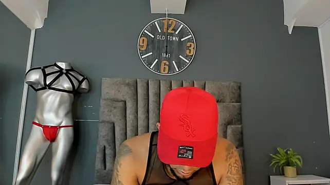 Robin_Riefn Webbikameraesitys