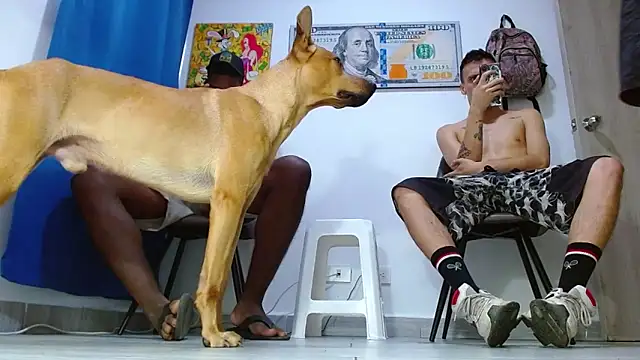 almighty_god Webcam Show