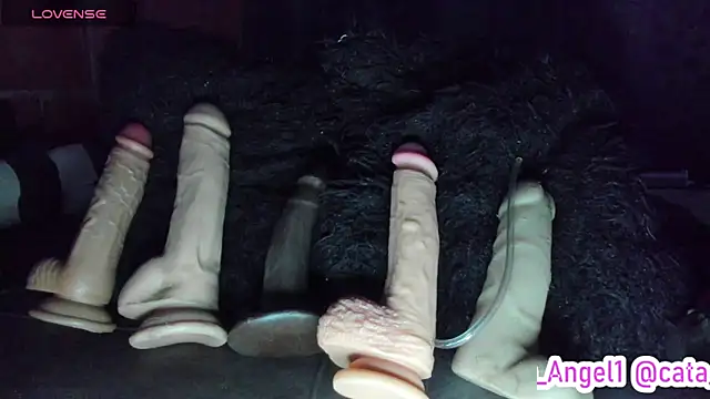 ห้องแชทสดของ Cata-angel